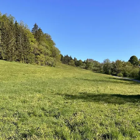 Smart B&b2 Bb2 316 *