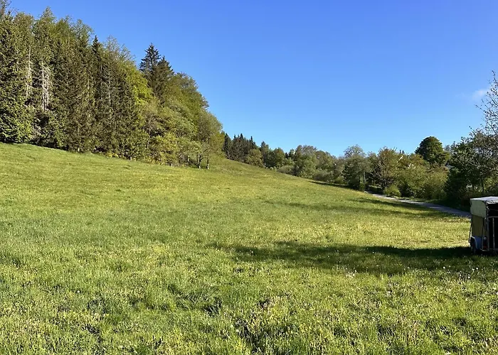 Smart B&b2 Bb2 316 *